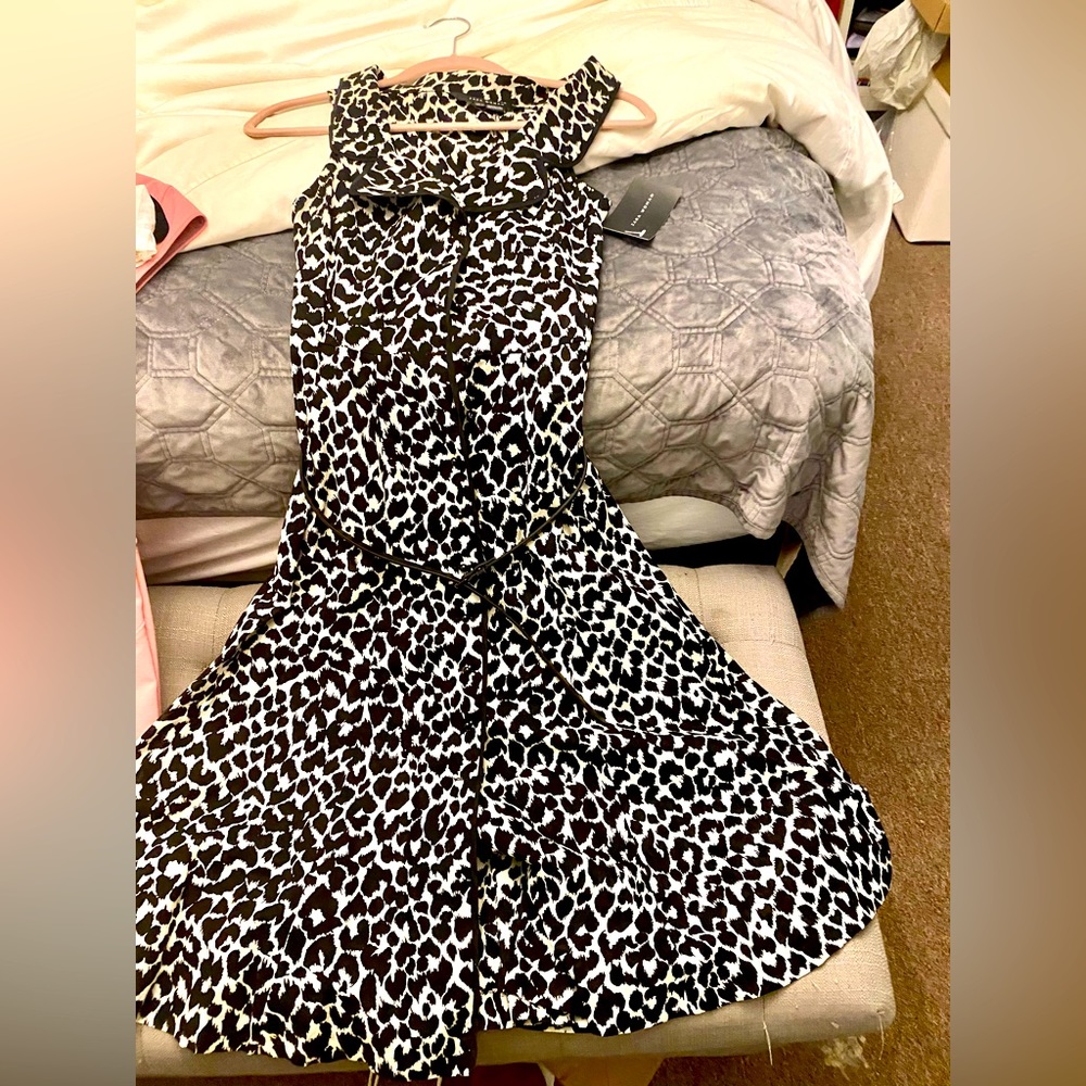NWT. Zara size Small dress with skinny black belt